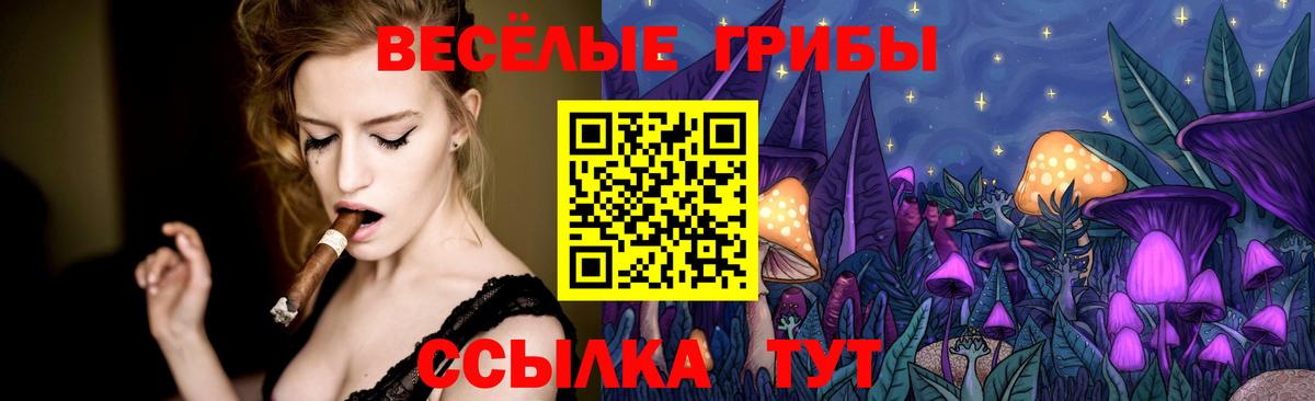 Псилоцибиновые грибы Psilocybe  Вход с VPN  Татарск 